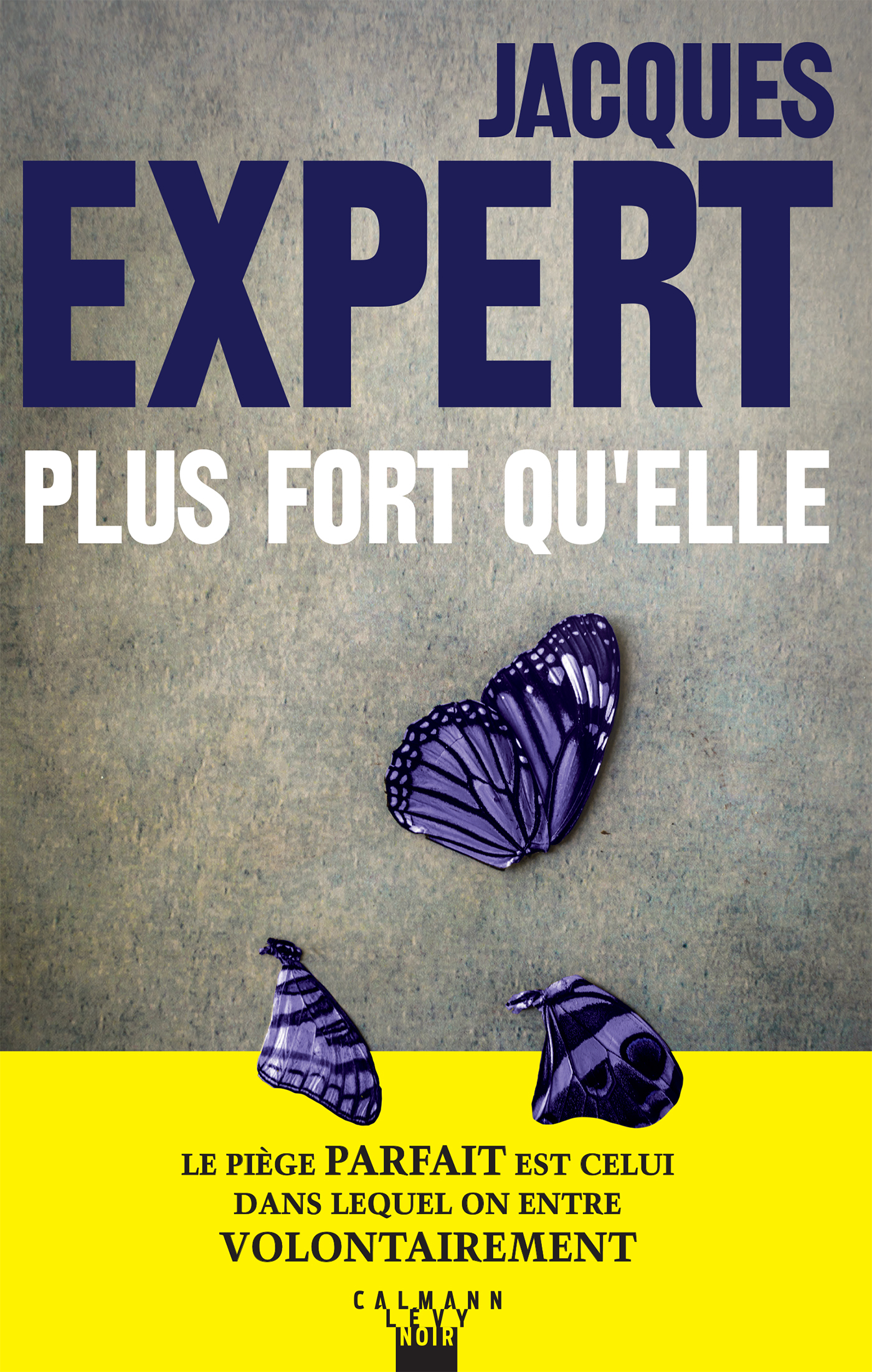 Image d'entête de l'article